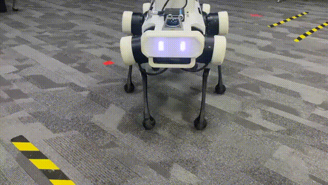 1742621092141-097f8292-d40d-4e37-90a7-70db2b8cc4c5.gif